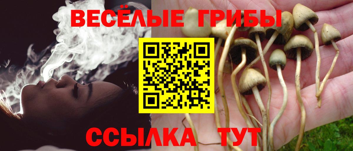 Галлюциногенные грибы Cubensis Протвино